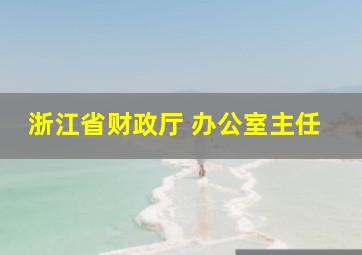 浙江省财政厅 办公室主任